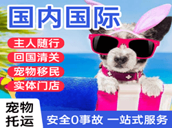 成都机场托运国际宠物托运 【国